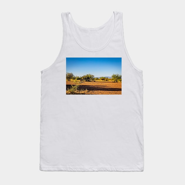 Angus Cow and Calves Tank Top by Gestalt Imagery